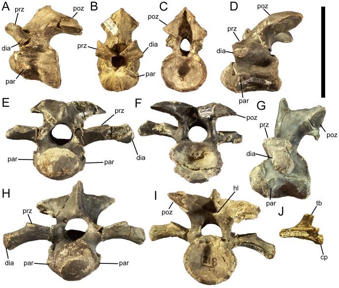 Figure 22