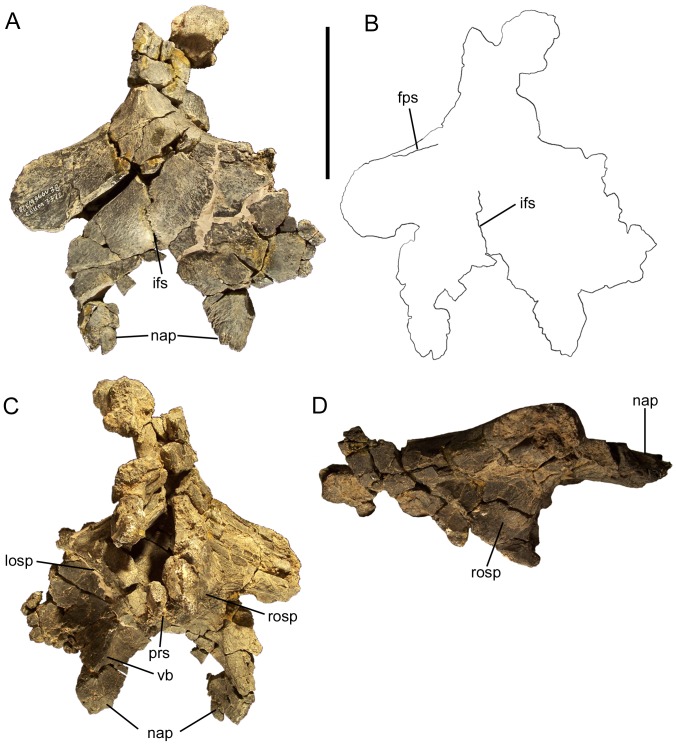 Figure 16