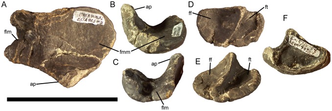 Figure 33