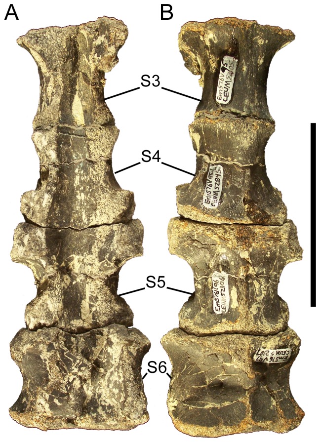 Figure 25