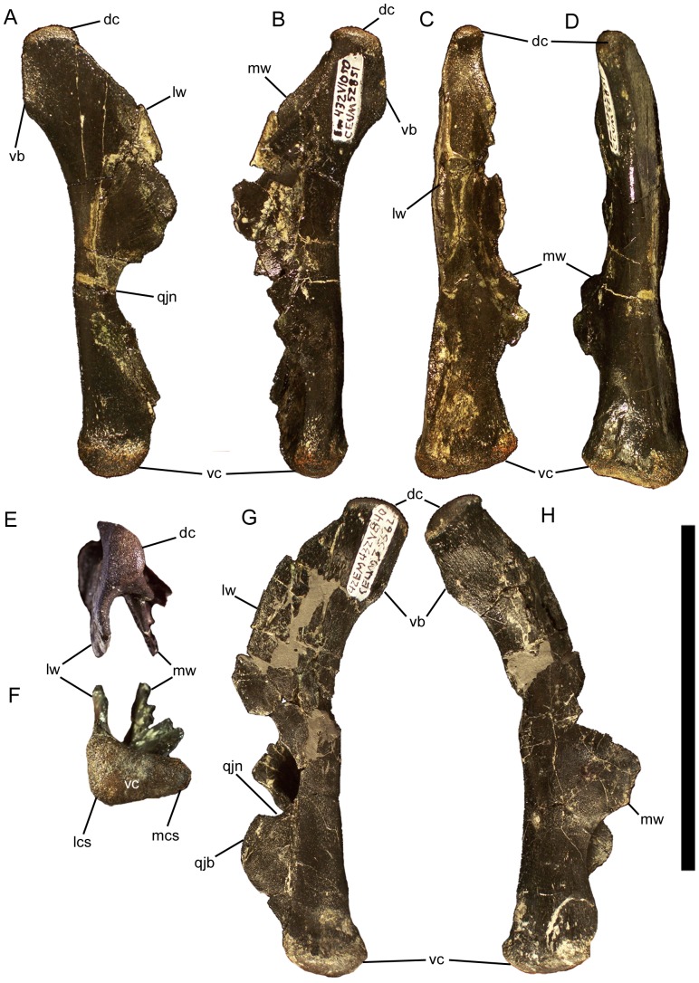 Figure 13