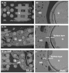 Fig. 9