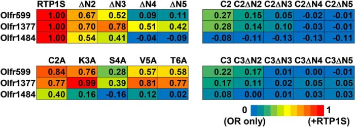 Figure 5.