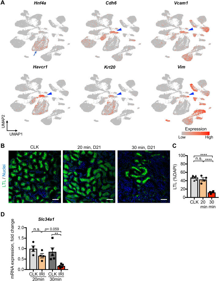 Figure 1—figure supplement 6.