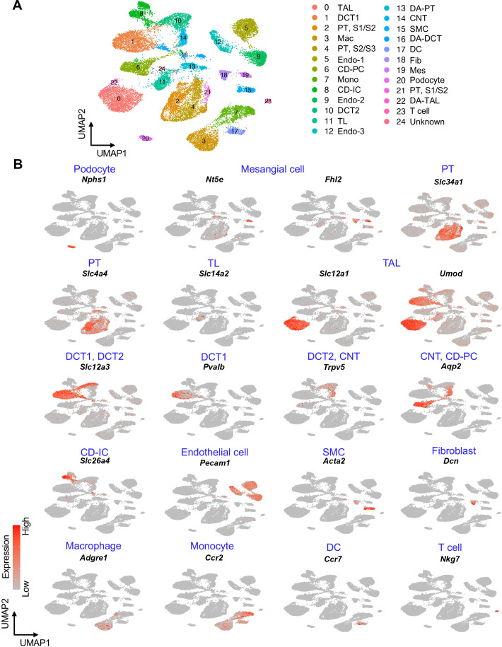 Figure 1—figure supplement 4.