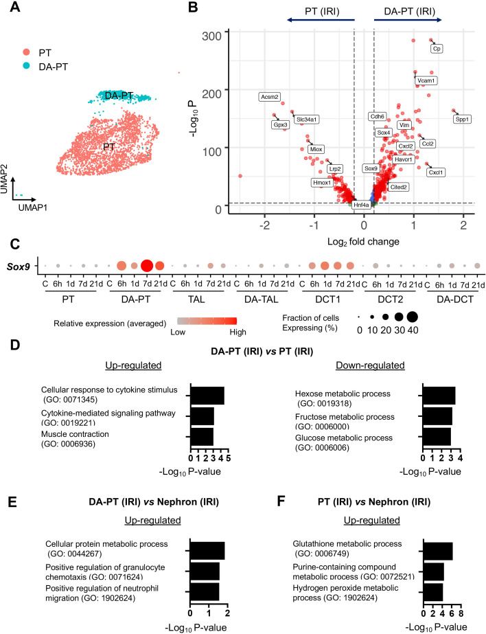 Figure 1—figure supplement 5.