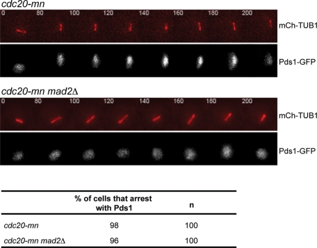 Figure 7: