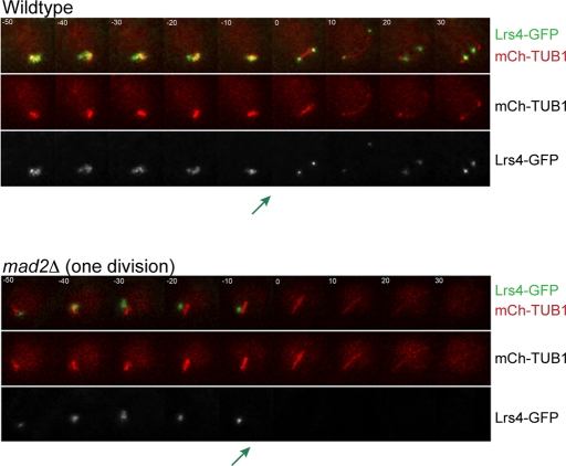 Figure 3: