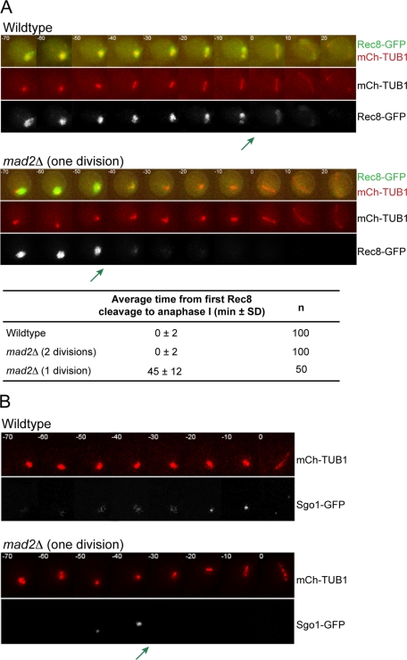 Figure 4: