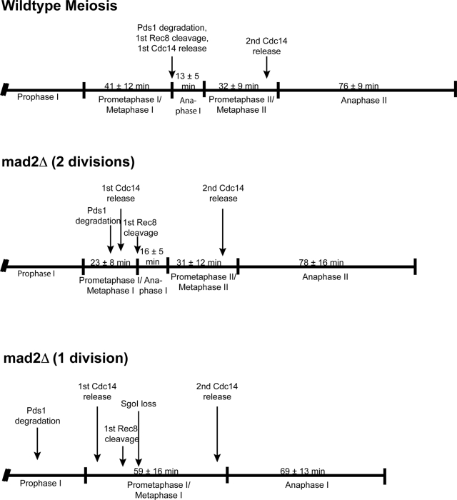 Figure 5: