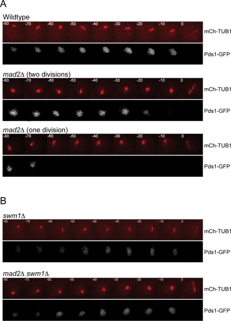 Figure 6: