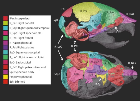 Fig. 4