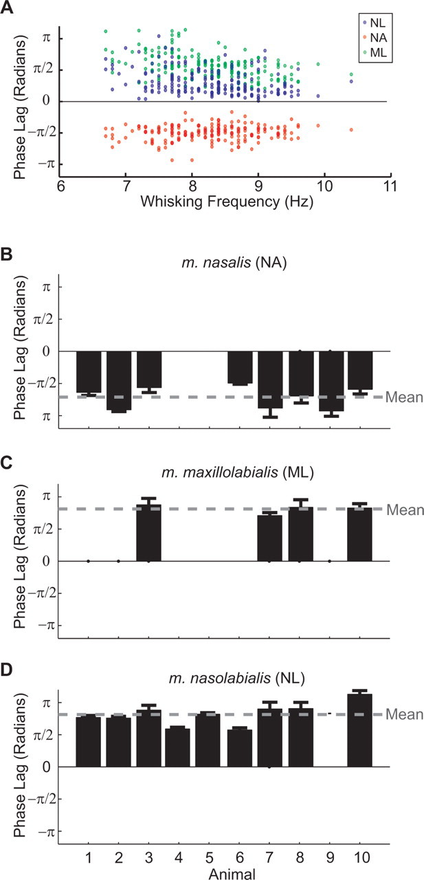 Figure 5.