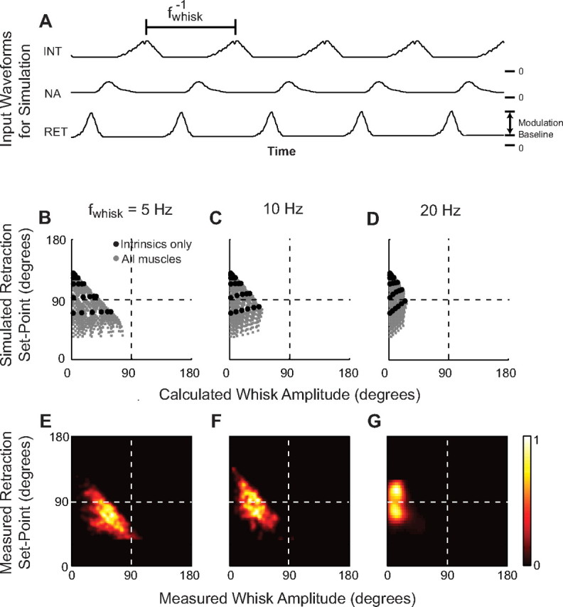 Figure 11.