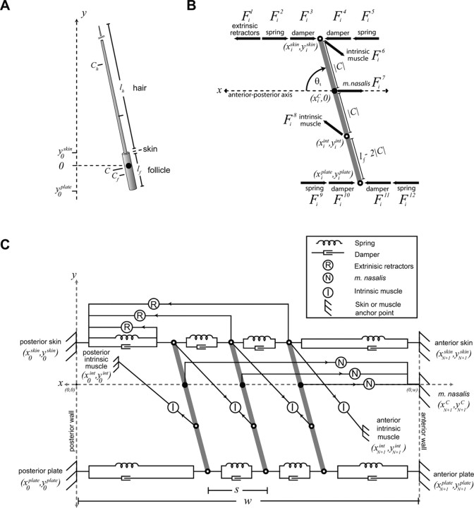 Figure 8.