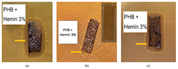 Figure 9