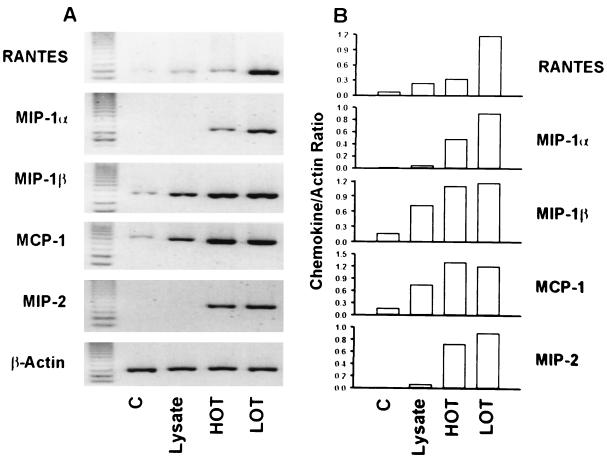 FIG. 6