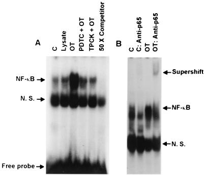 FIG. 5