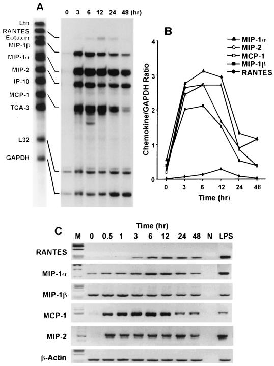 FIG. 1