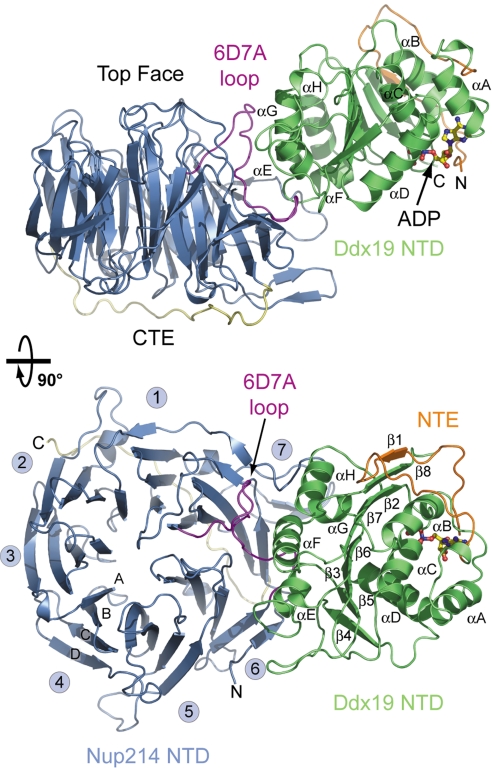 Fig. 2.