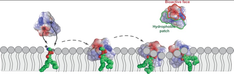 FIGURE 12.