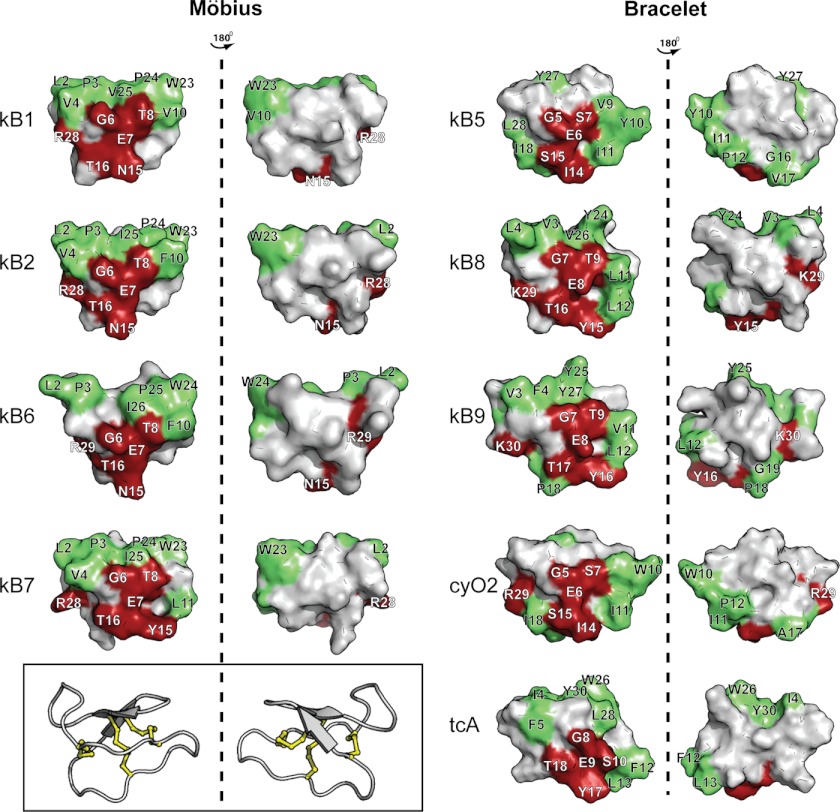 FIGURE 11.