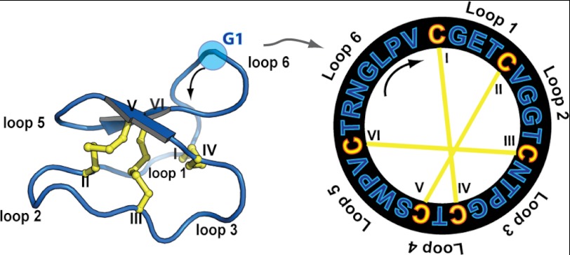 FIGURE 1.