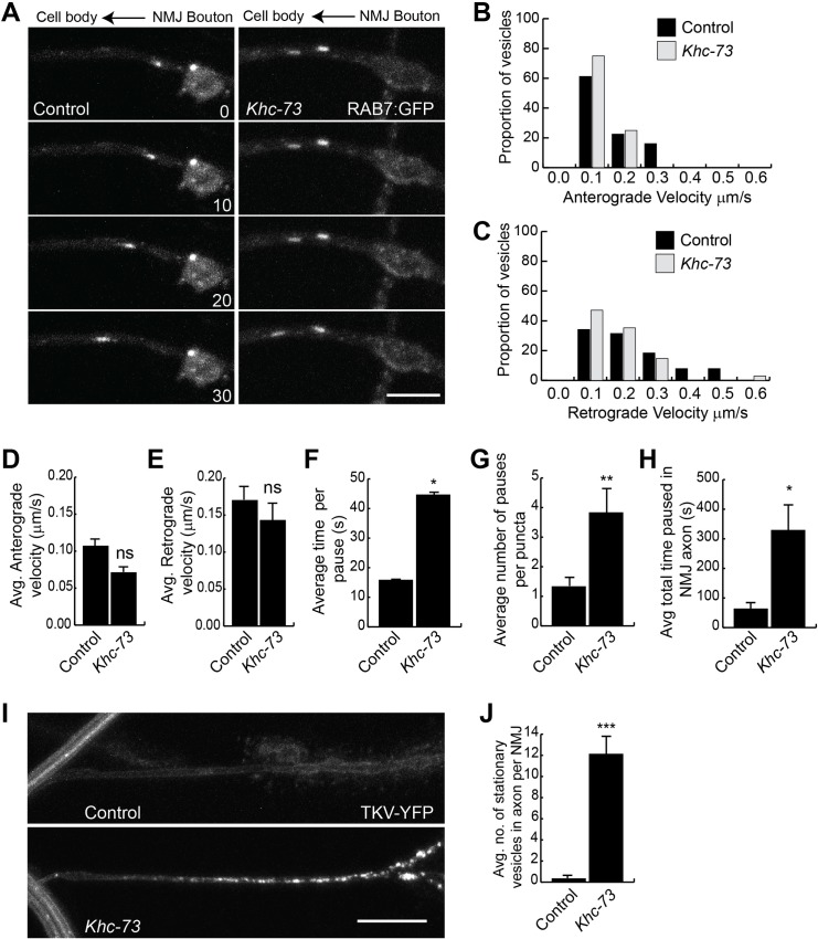 Fig 13