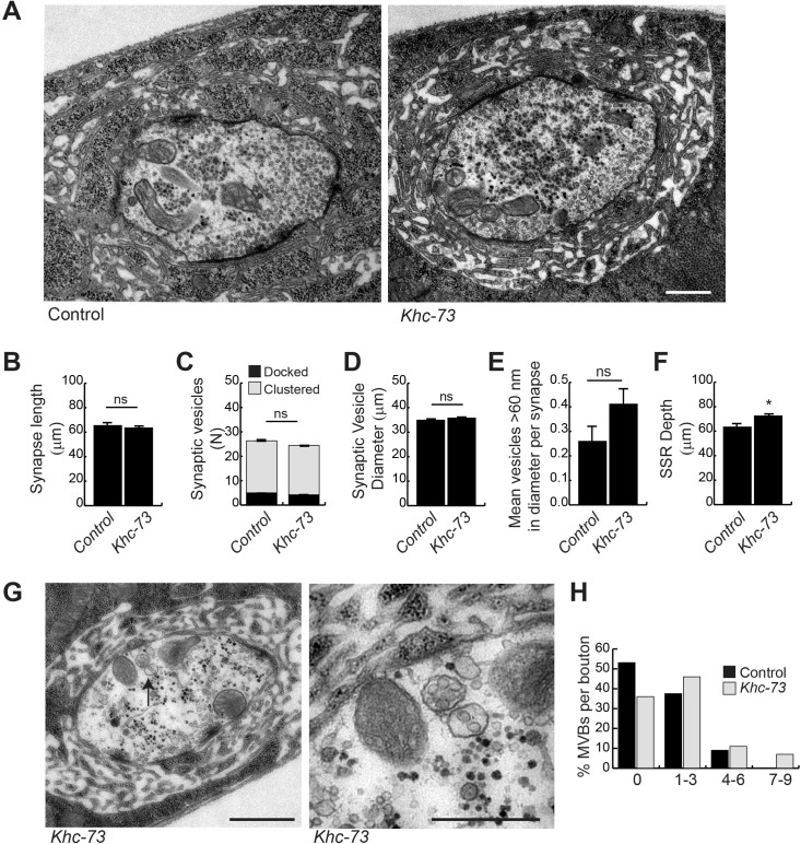 Fig 11