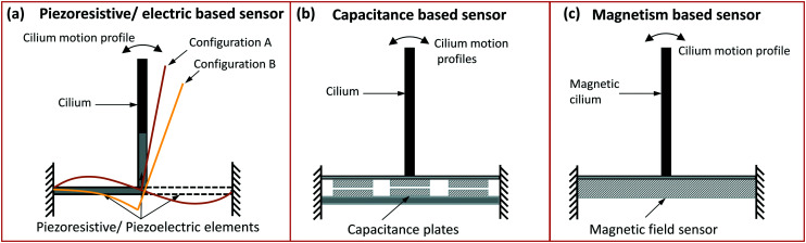 Fig. 12