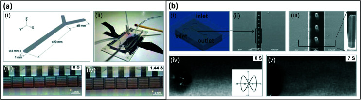 Fig. 10