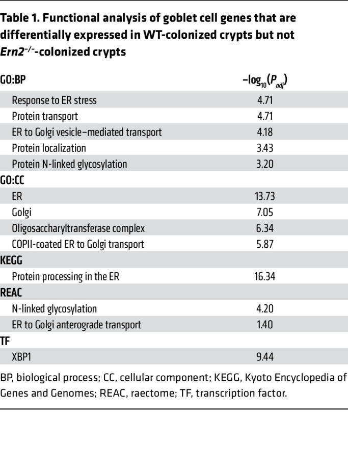 graphic file with name jci-132-153519-g085.jpg