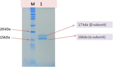 Fig. 4