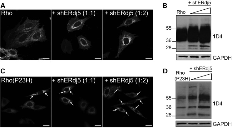 Figure 6.