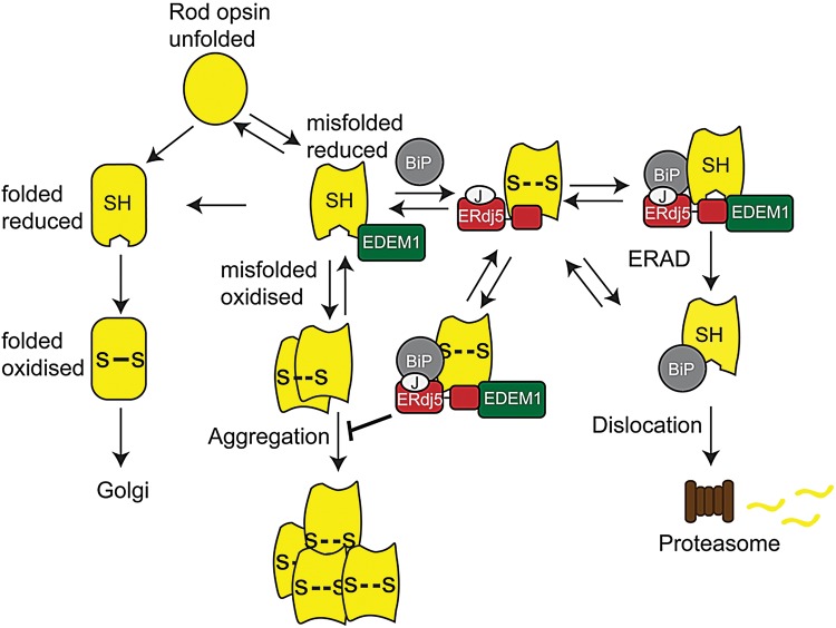 Figure 7.