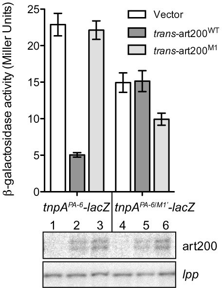 Figure 6.