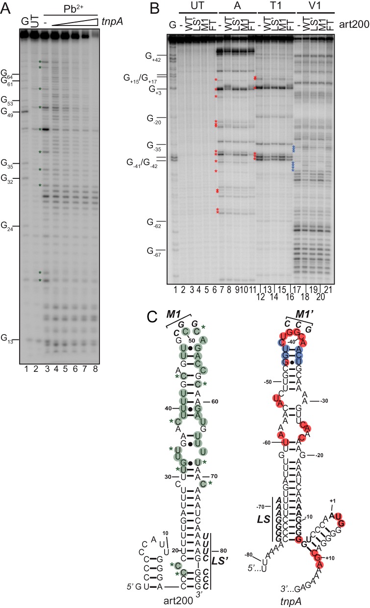 Figure 4.