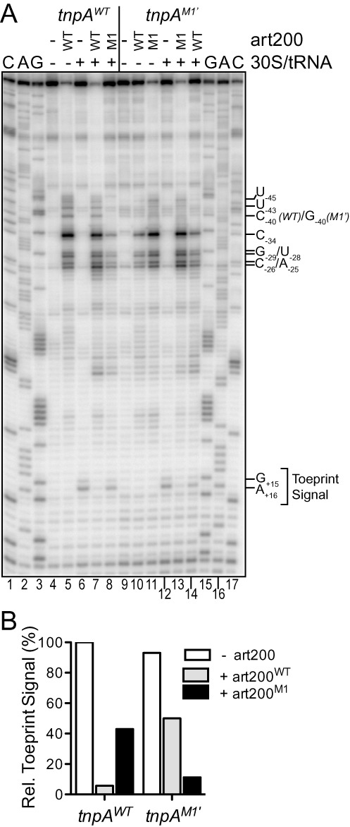 Figure 5.