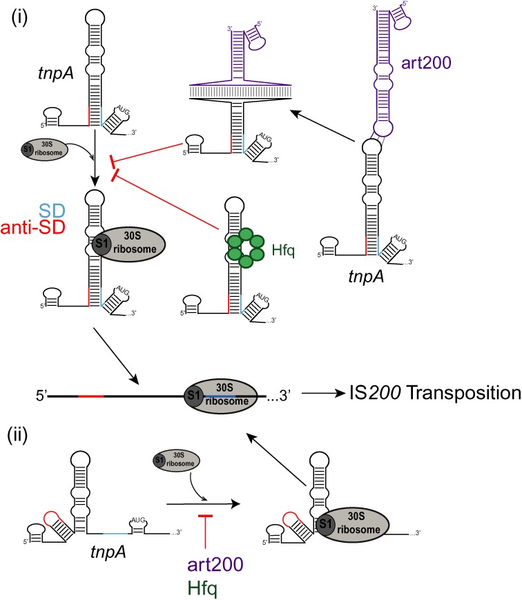 Figure 10.