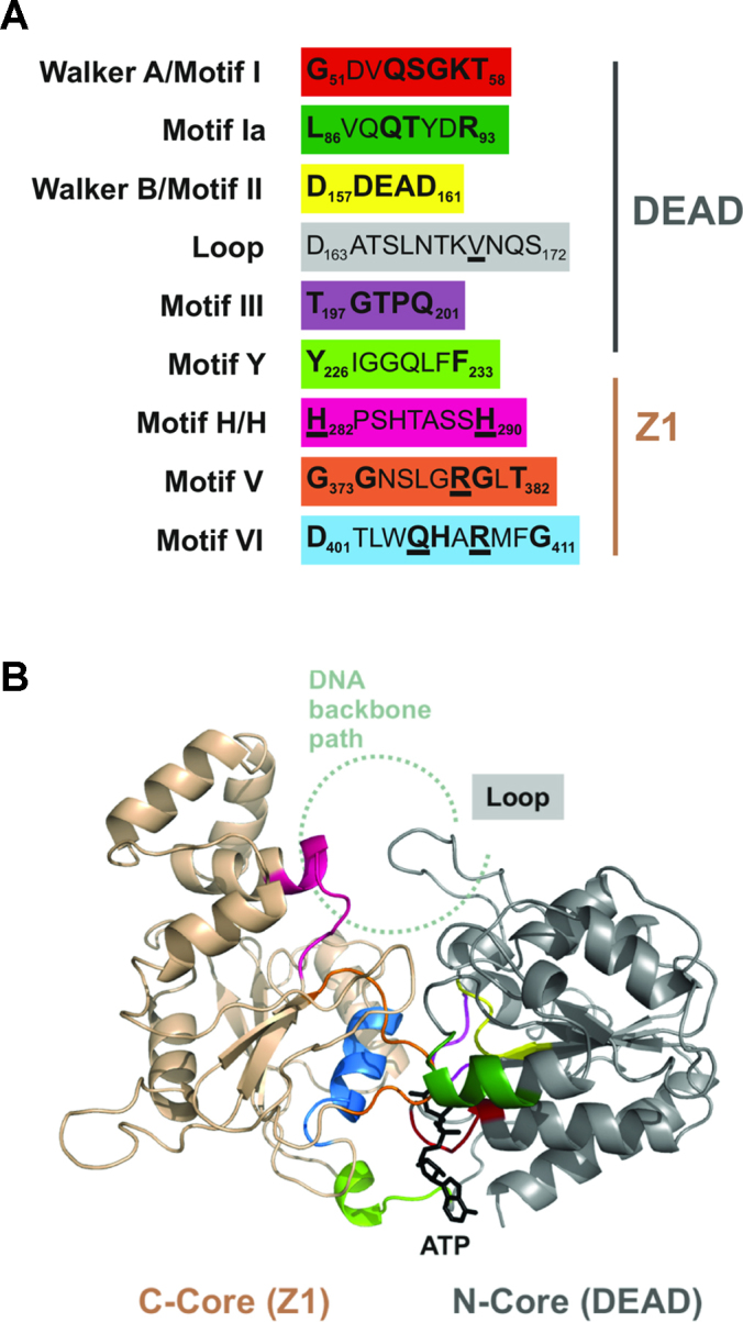 Figure 3.