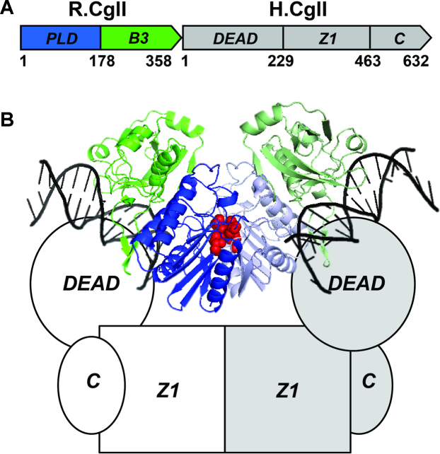 Figure 1.