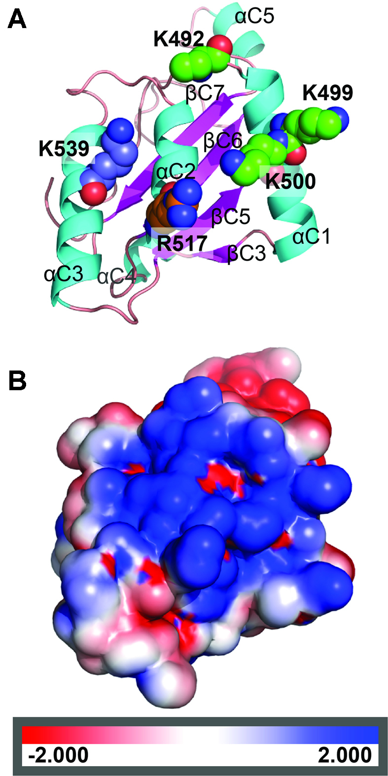 Figure 2.