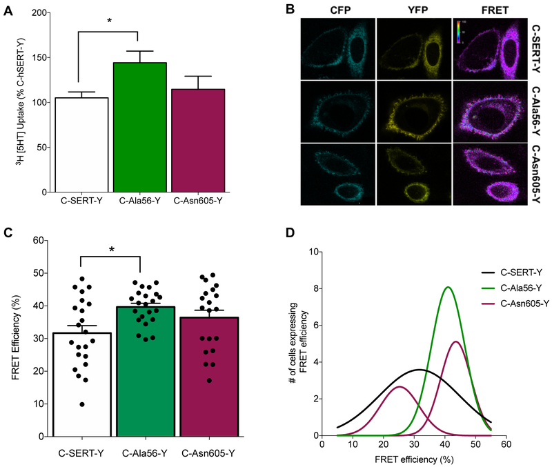 Figure 2: