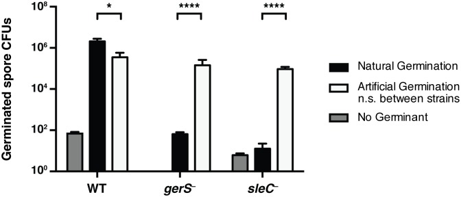 Fig 5