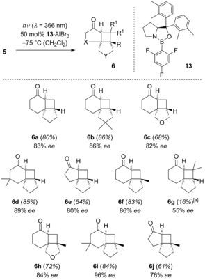 Scheme 5