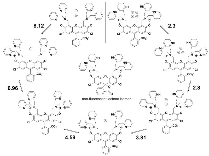 Scheme 2