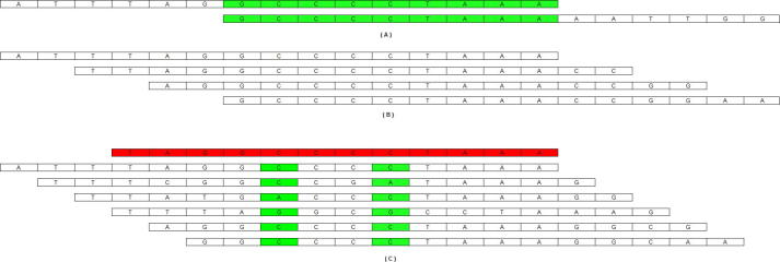 Supplementary Figure 10