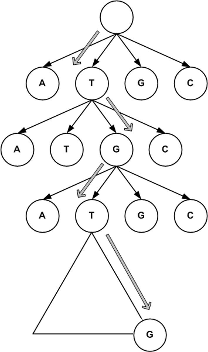 Supplementary Figure 15