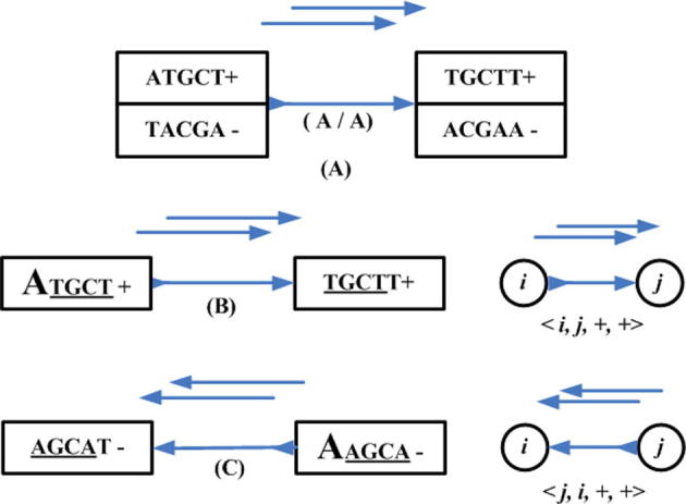 Supplementary Figure 13