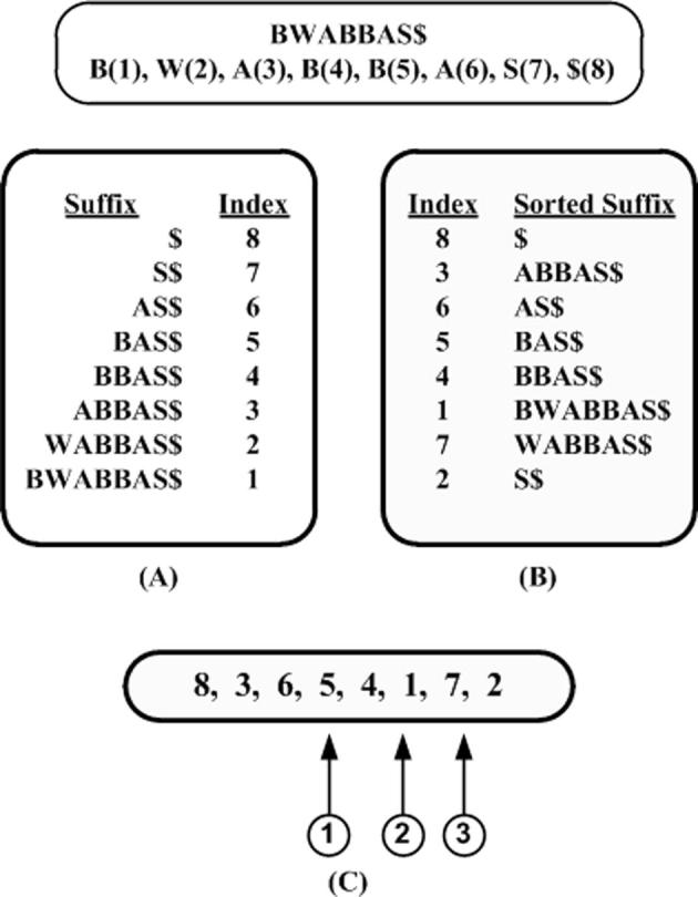 Supplementary Figure 19